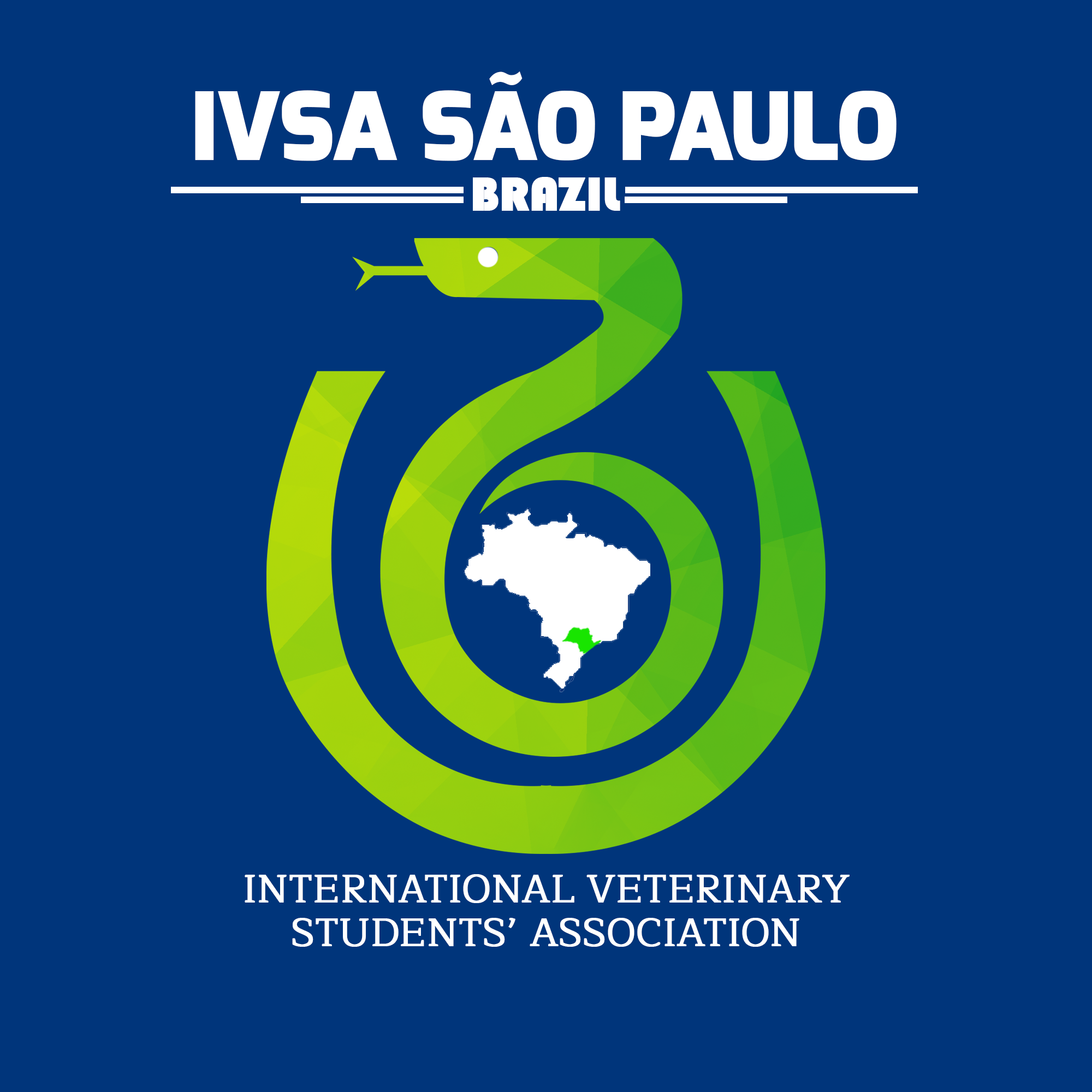 Congressos, simpósios e uma variedade de programas de intercâmbio para estudantes de medicina veterinária do mundo inteiro compõem o núcleo de atividades da IVSA, que desde 2020 conta com uma unidade no Brasil. Créditos: IVSA Global 