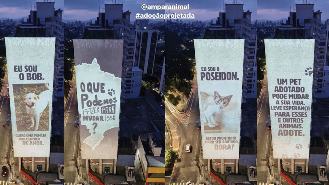 Nos dias 21 e 22 de janeiro, imagens de cães e gatos disponibilizados para adoção foram projetadas em edifício da região da avenida Paulista em São Paulo, em ação social promovida pela Boehringer Ingelheim em parceria com a Ampara Animal. Créditos: Divulgação Boehringer Ingelheim / Ampara Animal 