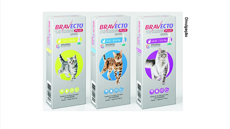 A Linha Bravecto Plus para gatos de 1 a 12,5 quilos oferece proteção contra pulgas por 12 semanas, além de combina-las com ação acaricida e contra parasitas intestinais 