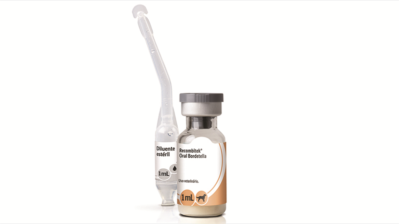 Foto ilustrativa dos frascos da vacina Recombitek® Oral Bordetella e de seu diluente estéril. Créditors: Divulgação Boehringer Ingelheim 