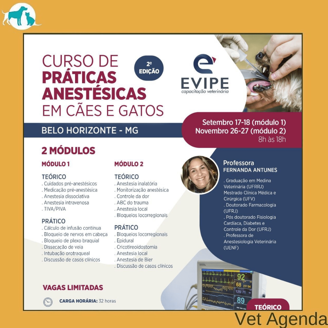 Curso Online em Controle da Dor na Clínica de Cães e Gatos