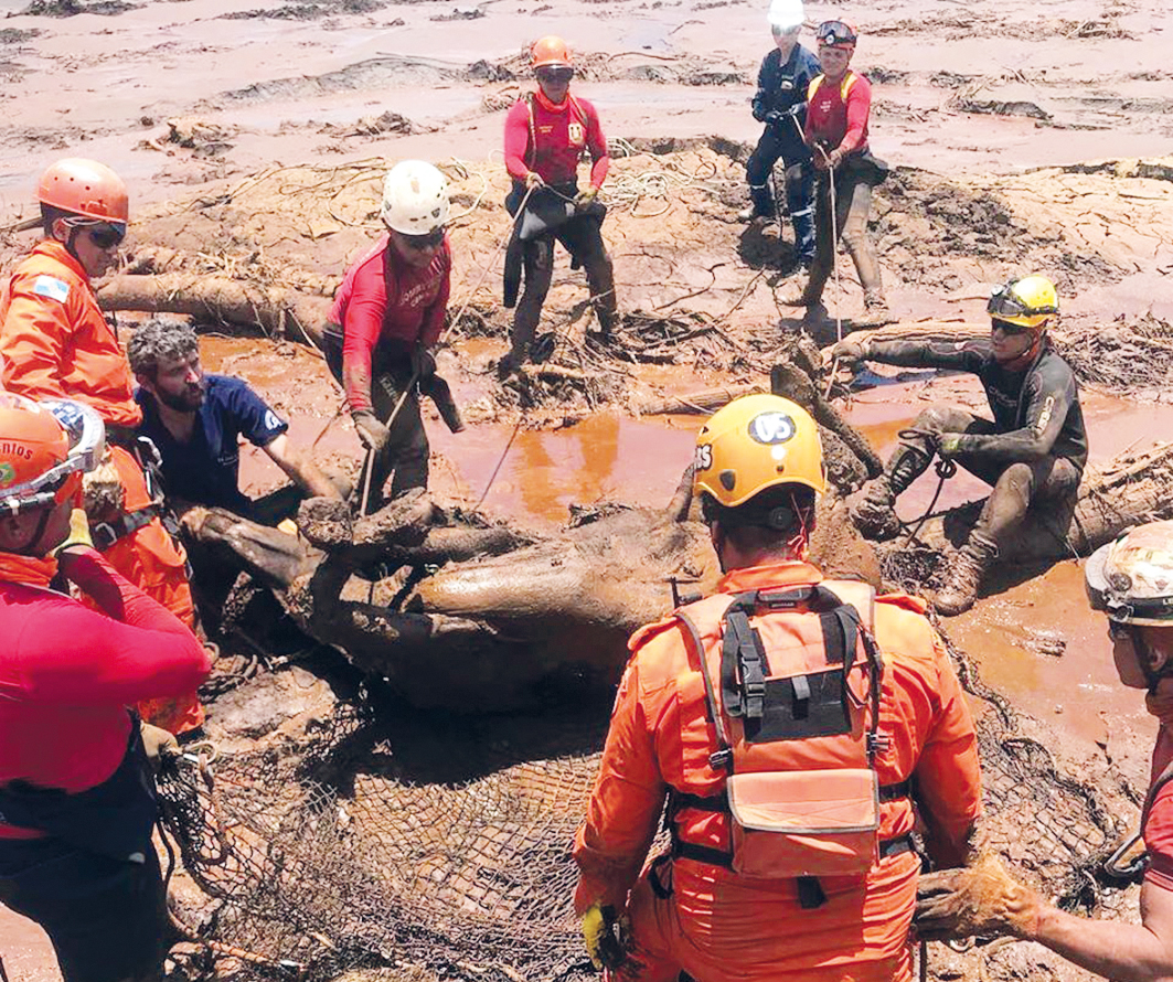 Médicos-veterinários da UFMG e do Grad Brasil juntamente com bombeiros militares preparam animal para remoção do rejeito via helicóptero em Brumadinho, MG, após rompimento de barragem em 2019. Créditos: Grad Brasil, 2020 