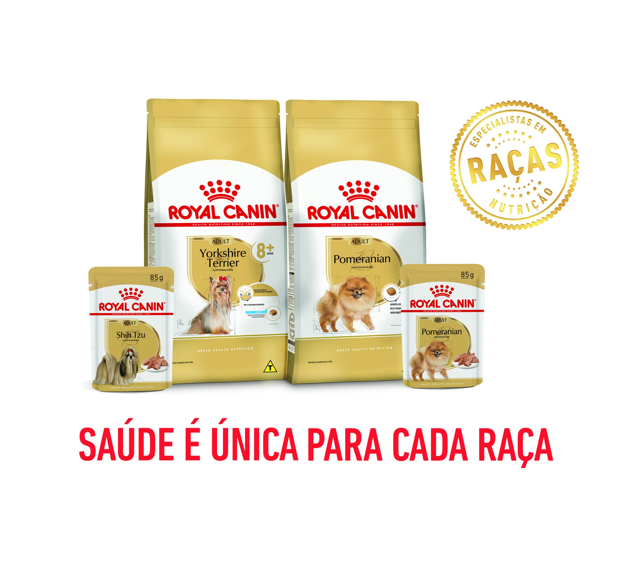 Alimento específico para cães da raça pomerânia, além do Yorkshire Terrier 8+ e do alimento úmido Shih Tzu. Créditos: Divulgação Royal Canin 