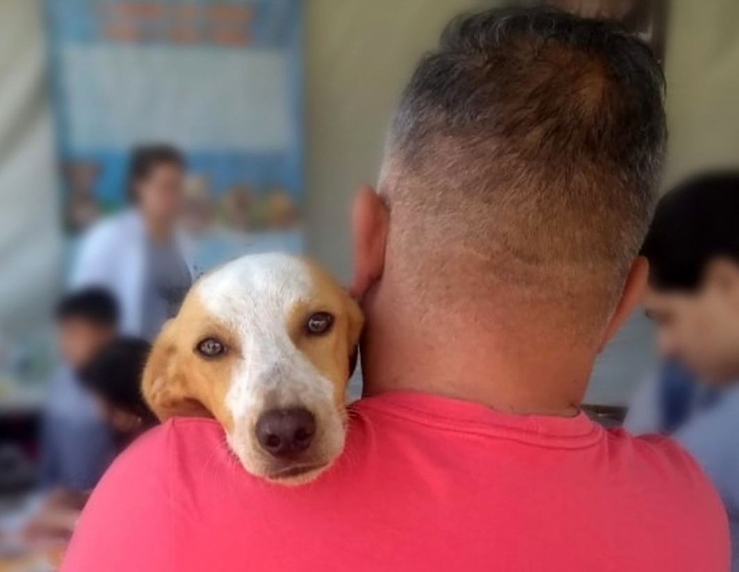 Feira de adoção de 2019 no Parque Barigui, em Curitiba, PR. Créditos: Jéssica Pinheiro Feliciano do Nascimento 