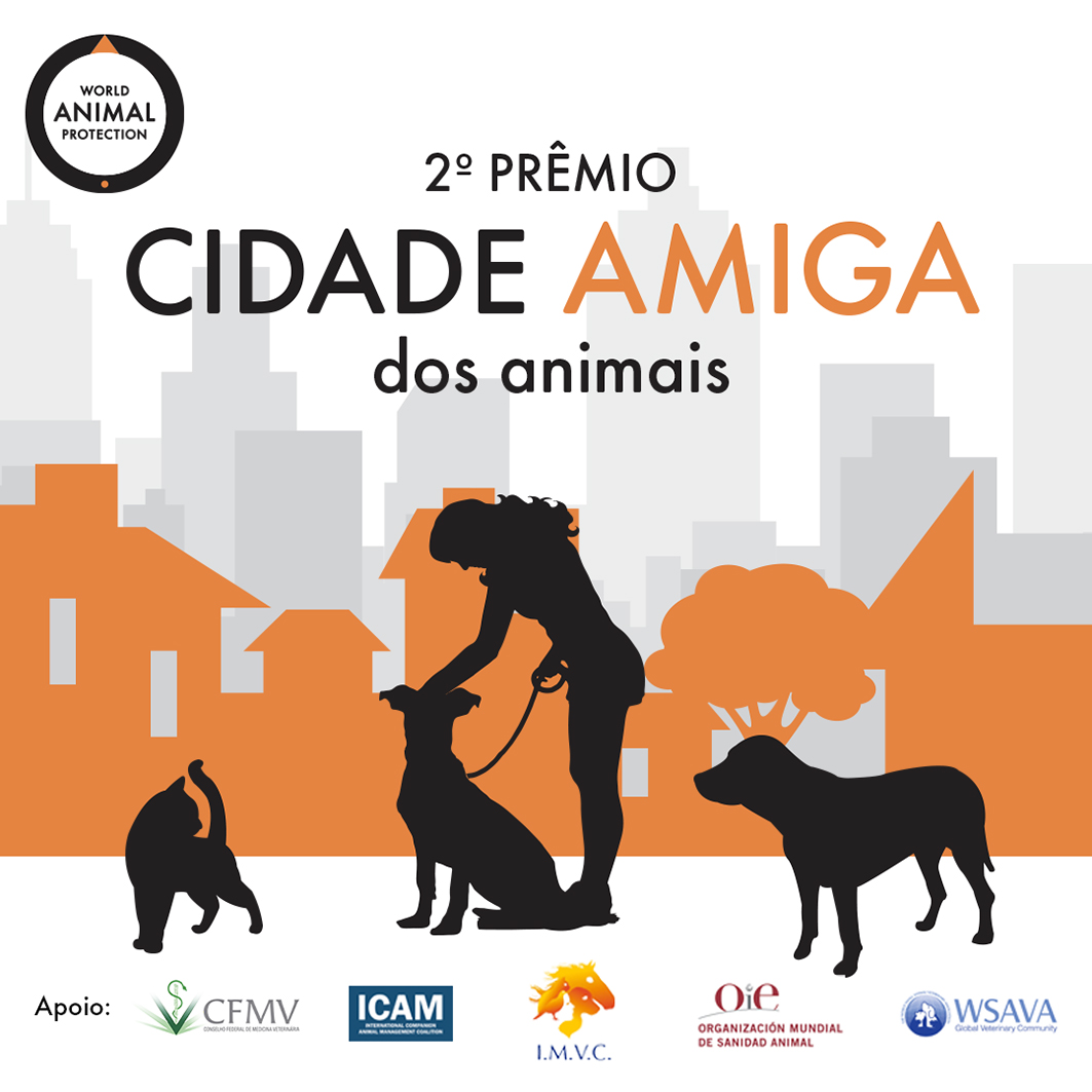 Programas de manejo de populações de cães e gatos, como controle reprodutivo, educação em guarda responsável e outros concorrem ao prêmio Cidade Amiga dos Animais 2020 