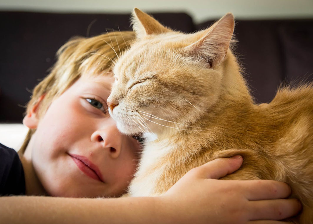 Créditos: Divulgação Royal Canin 