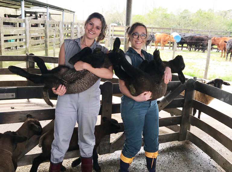 O respeito à vida animal pelo seu valor intrínseco e o compromisso de cuidar de sua saúde e bem-estar refletem uma postura ética e uma consideração moral cada vez mais indispensáveis. Créditos: Renato Silvano Pulz 