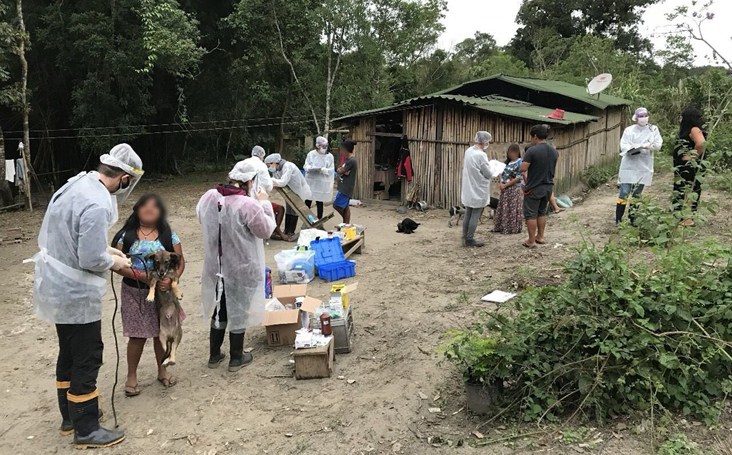 Ação clínica-veterinária na Aldeia Indígena Tekoá Pindó’ty realizada em 2020. Créditos: Alexander Biondo 