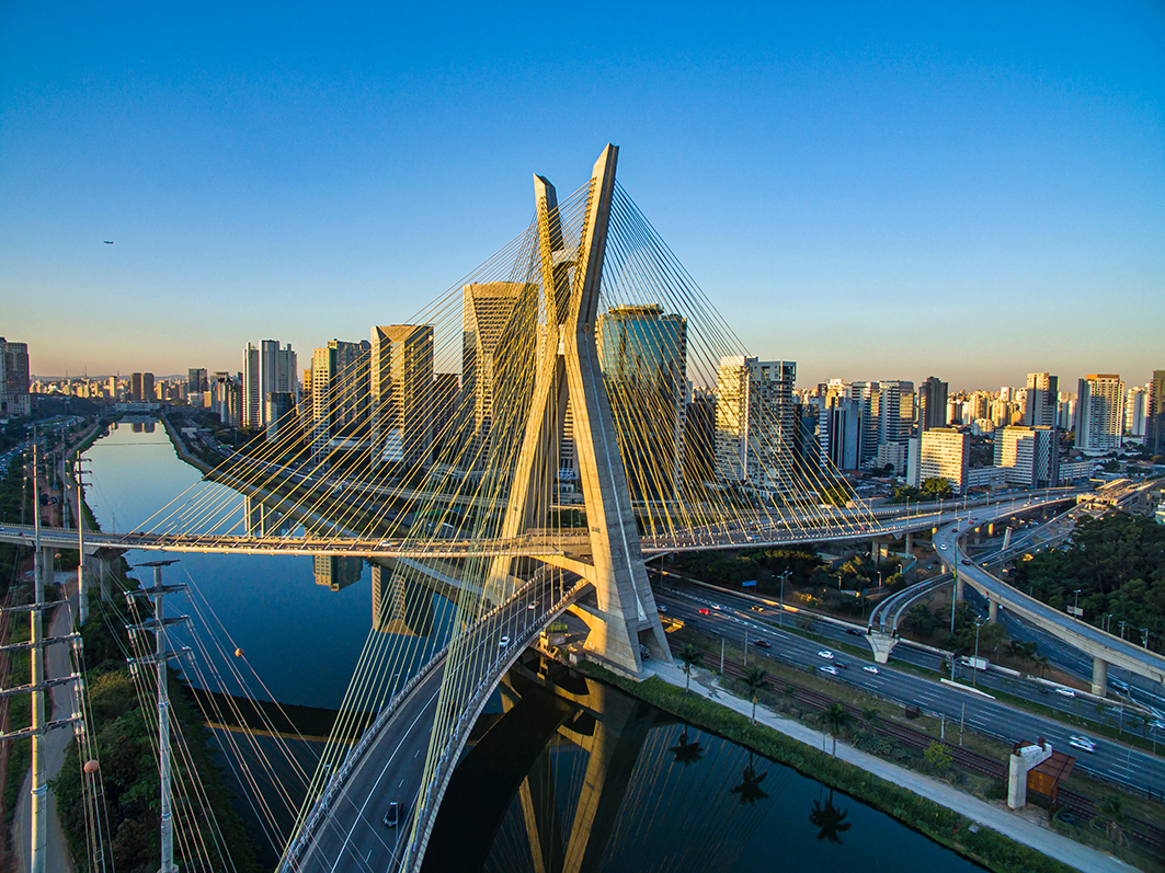 Créditos: CRMV-SP/AdobeStock 