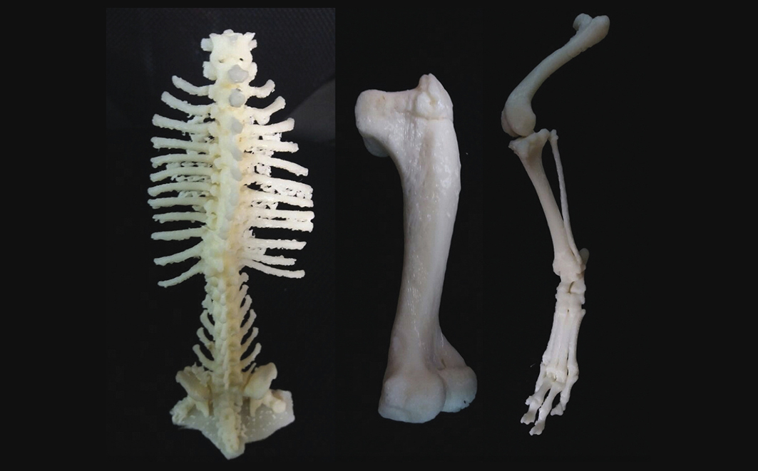 Impressões 3D para uso no planejamento cirúrgico 